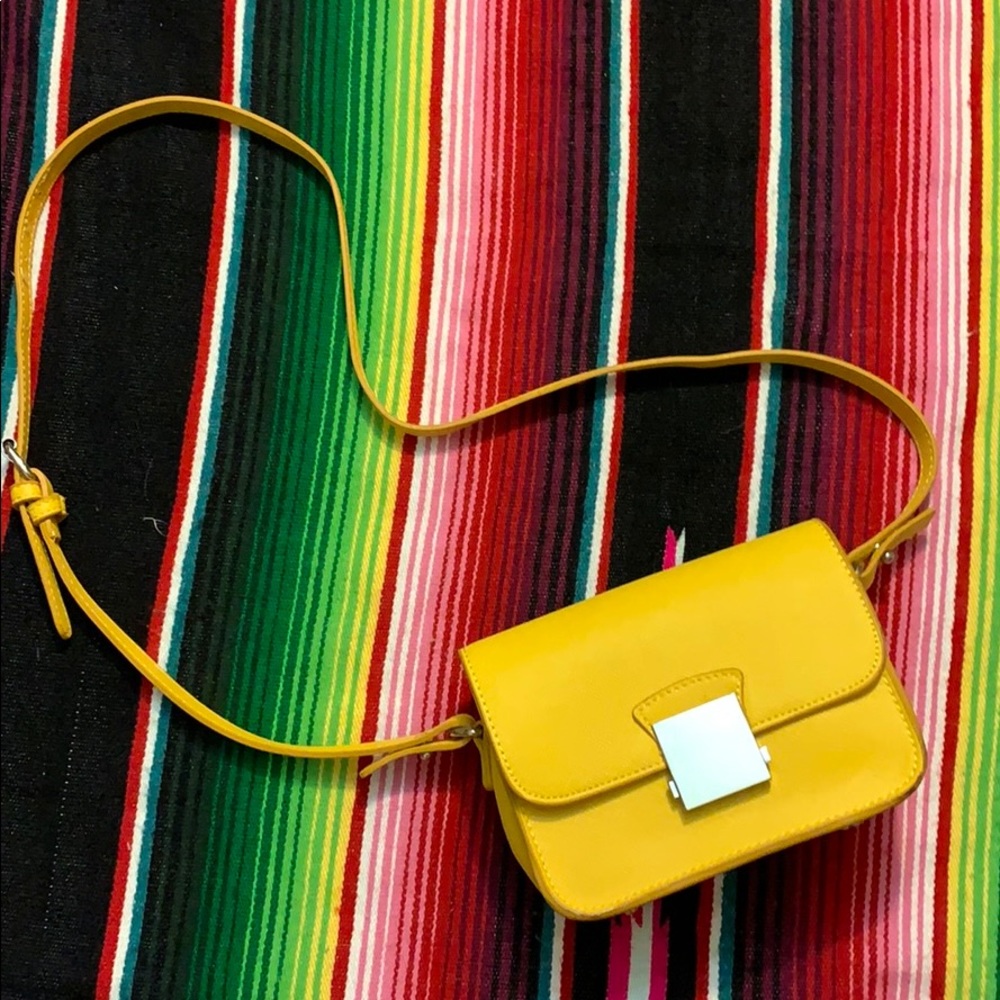 Zara crossbody bag with interchangeable straps